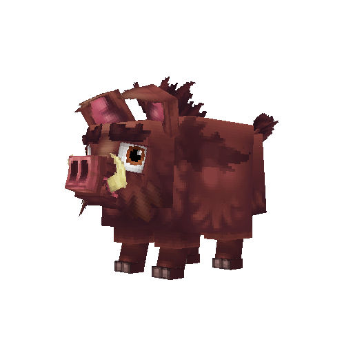 Boar