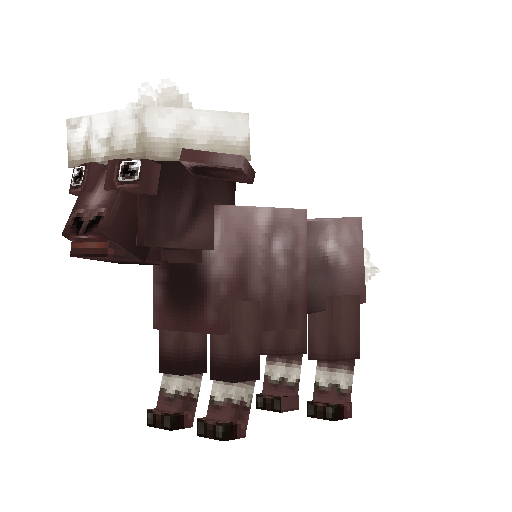 Sheep